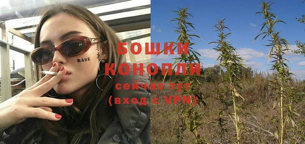 твердый Магадан